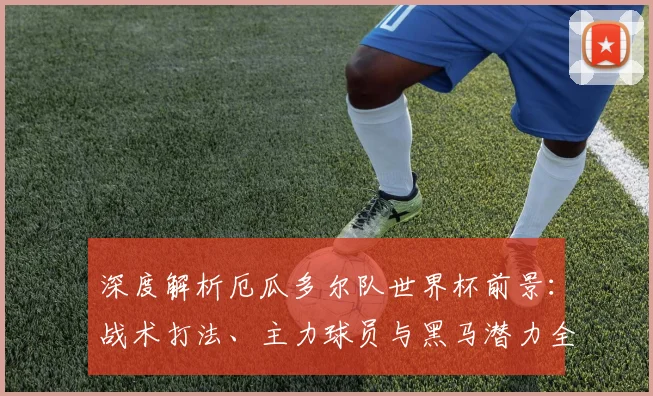 深度解析厄瓜多尔队世界杯前景：战术打法、主力球员与黑马潜力全览