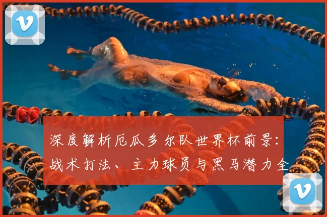 深度解析厄瓜多尔队世界杯前景：战术打法、主力球员与黑马潜力全览