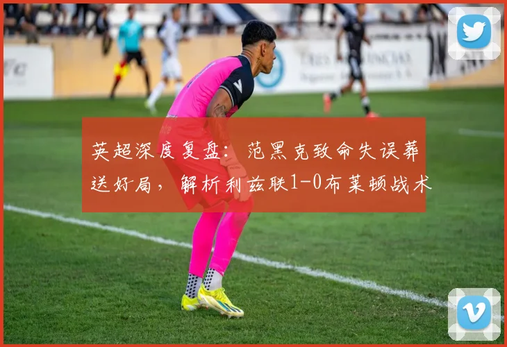 英超深度复盘：范黑克致命失误葬送好局，解析利兹联1-0布莱顿战术胜负手